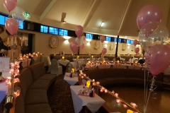 72449442_2432543910366276_6206002213987287040_o